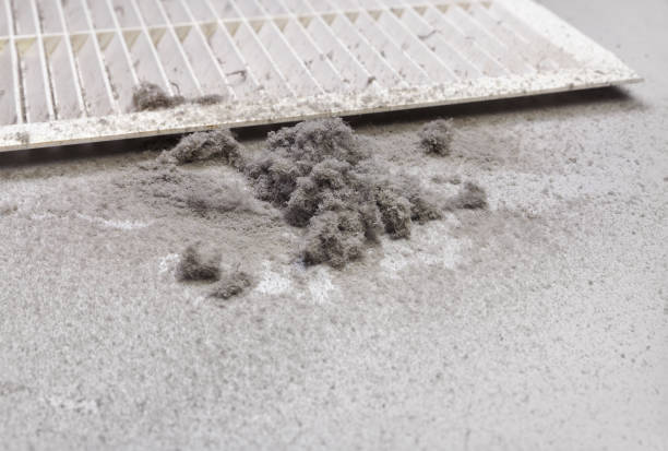 Best Emergency Air Duct Cleaning  in Nashua, IA